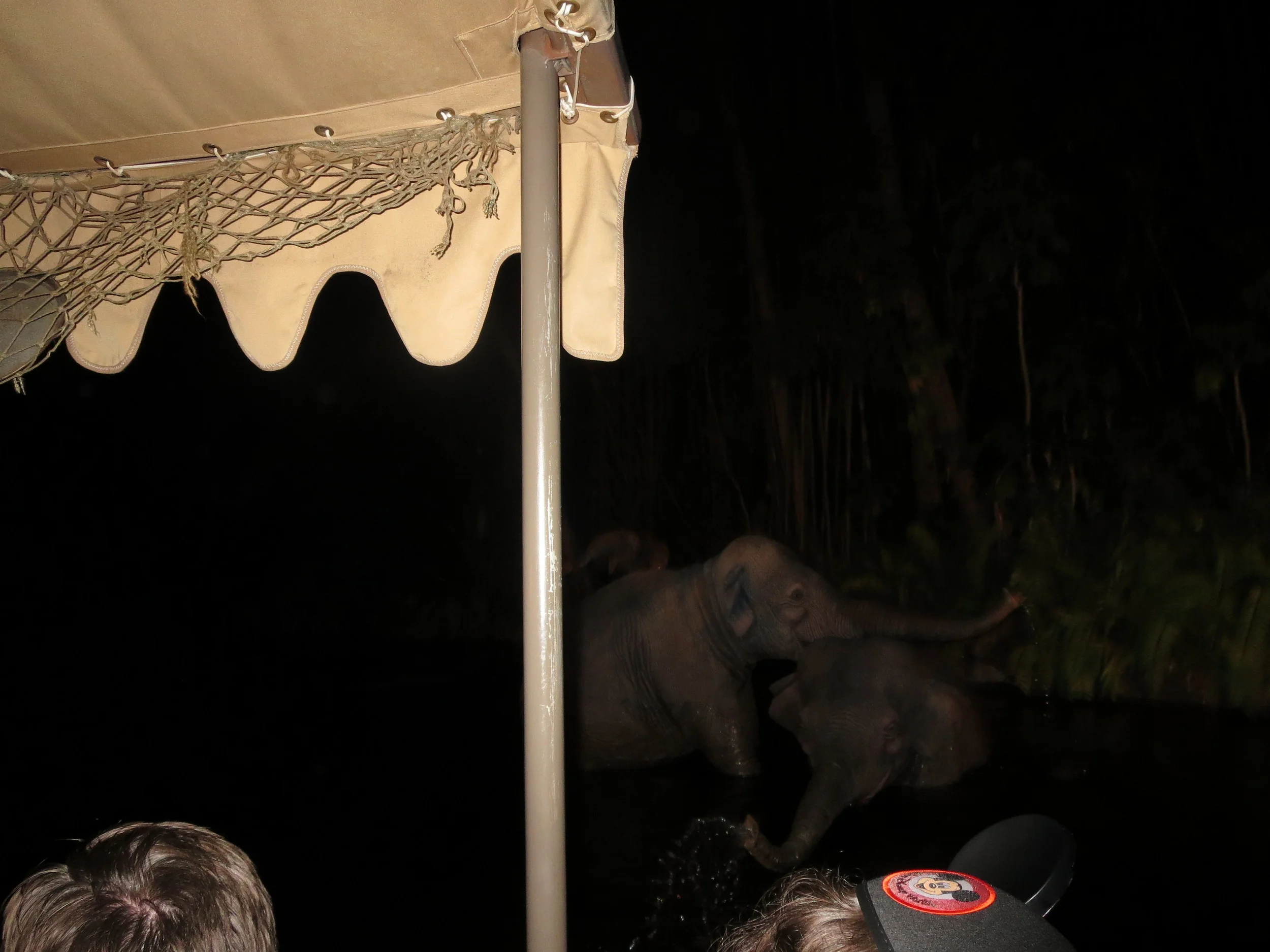 3:30 AM on the Jungle Cruise with a lot of devoted Disney fans