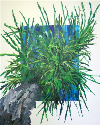 Palm Tree 05