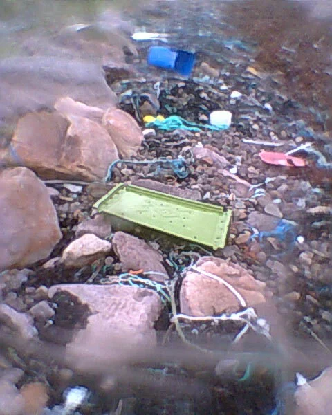littoral.high tide line.j barton.jpg