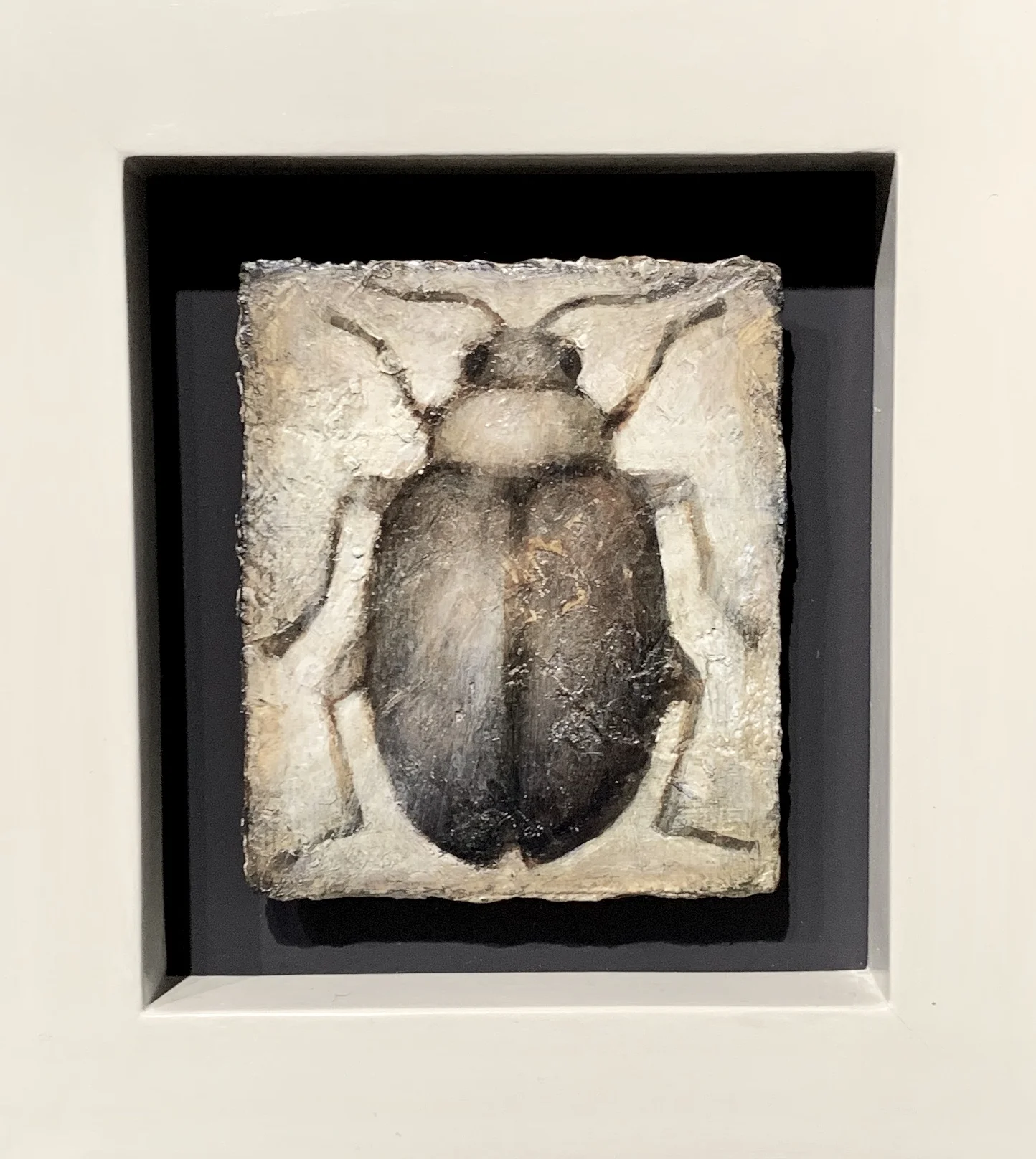 Insect 3 Peter White SOLD