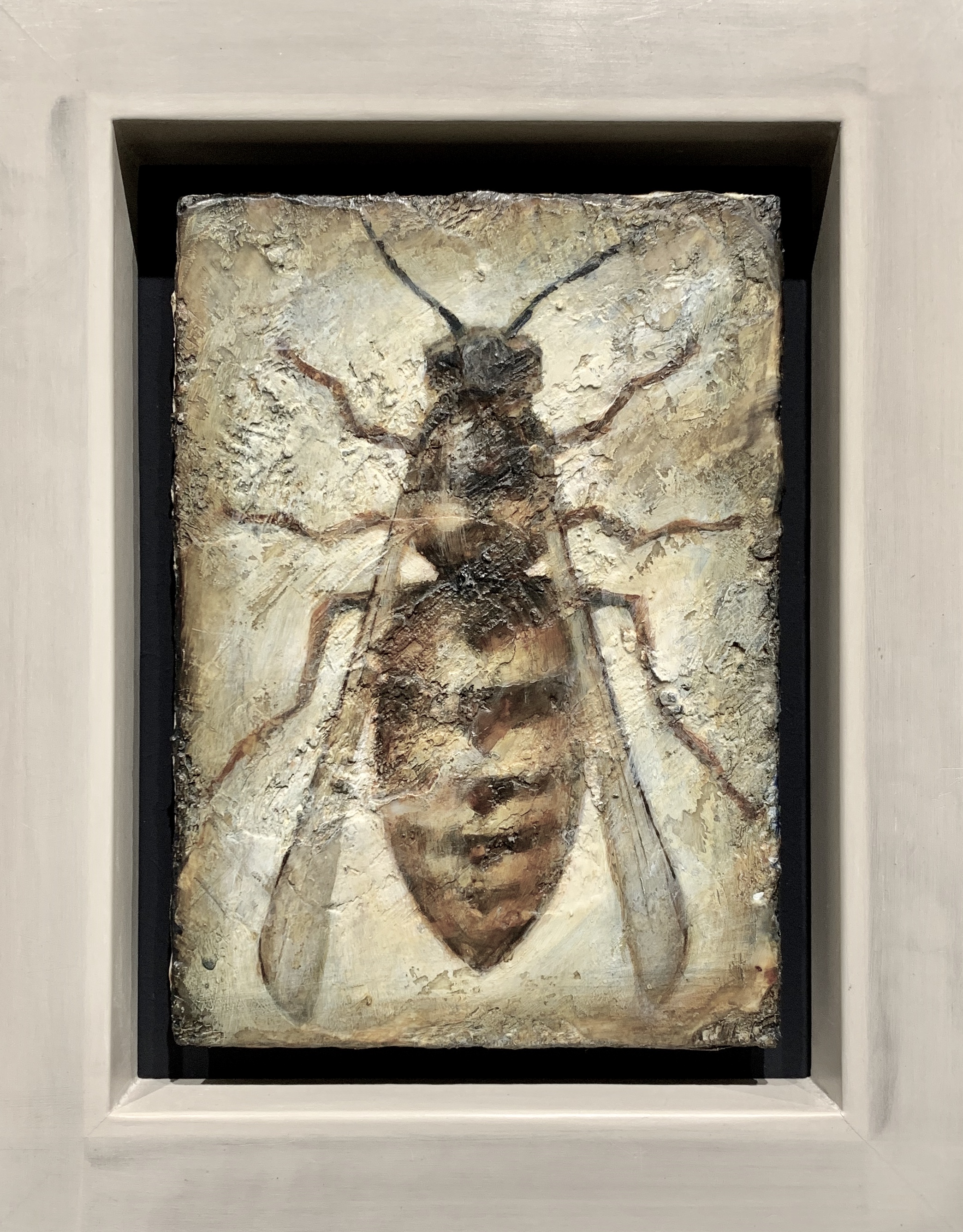 Insect 1 Peter White £580