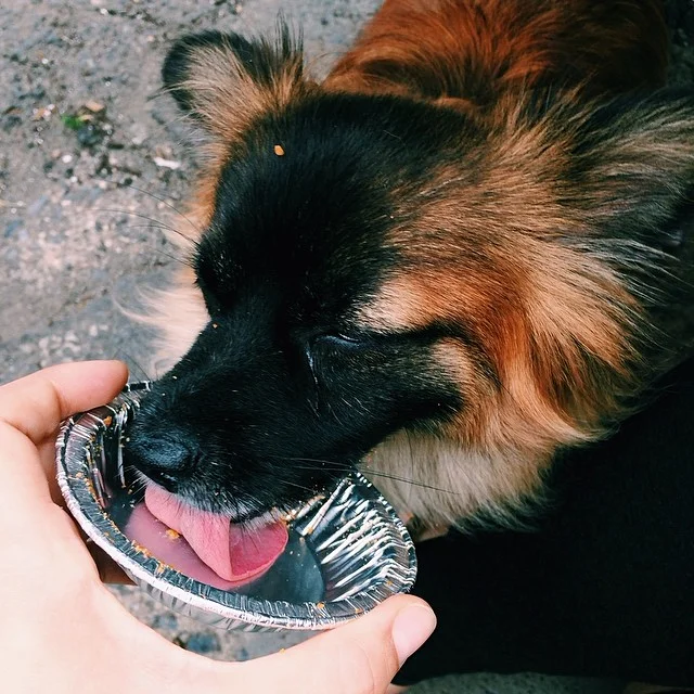 Kleine loves pie #vscocam