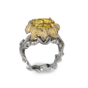 Ring1.jpg