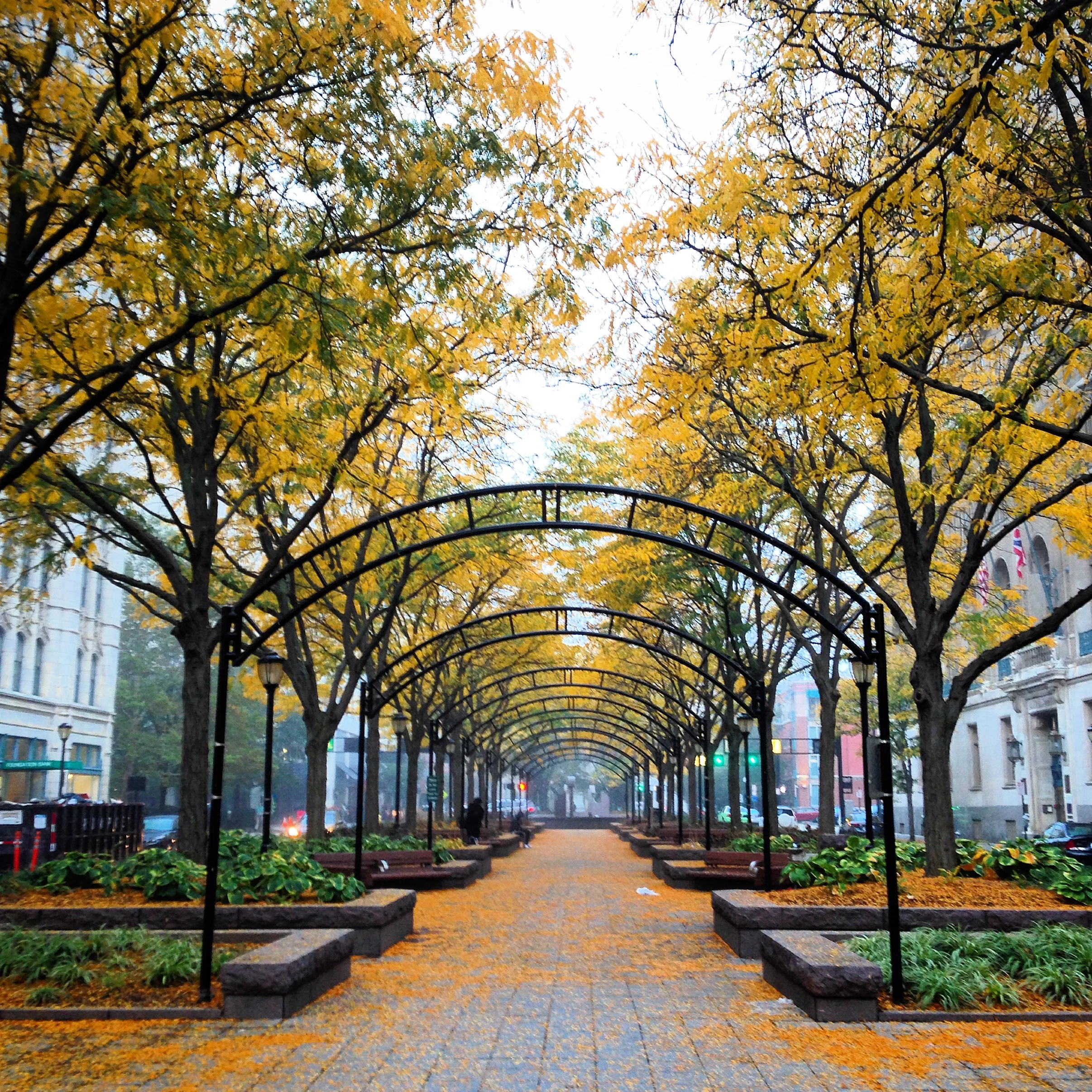 Seasons are changing & newer newbies arrived!