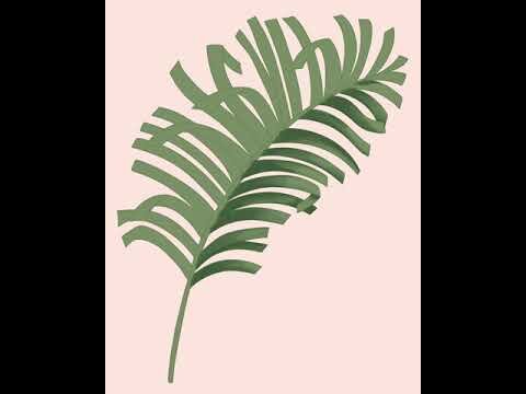 Mellow Palms - Procreate Process Video