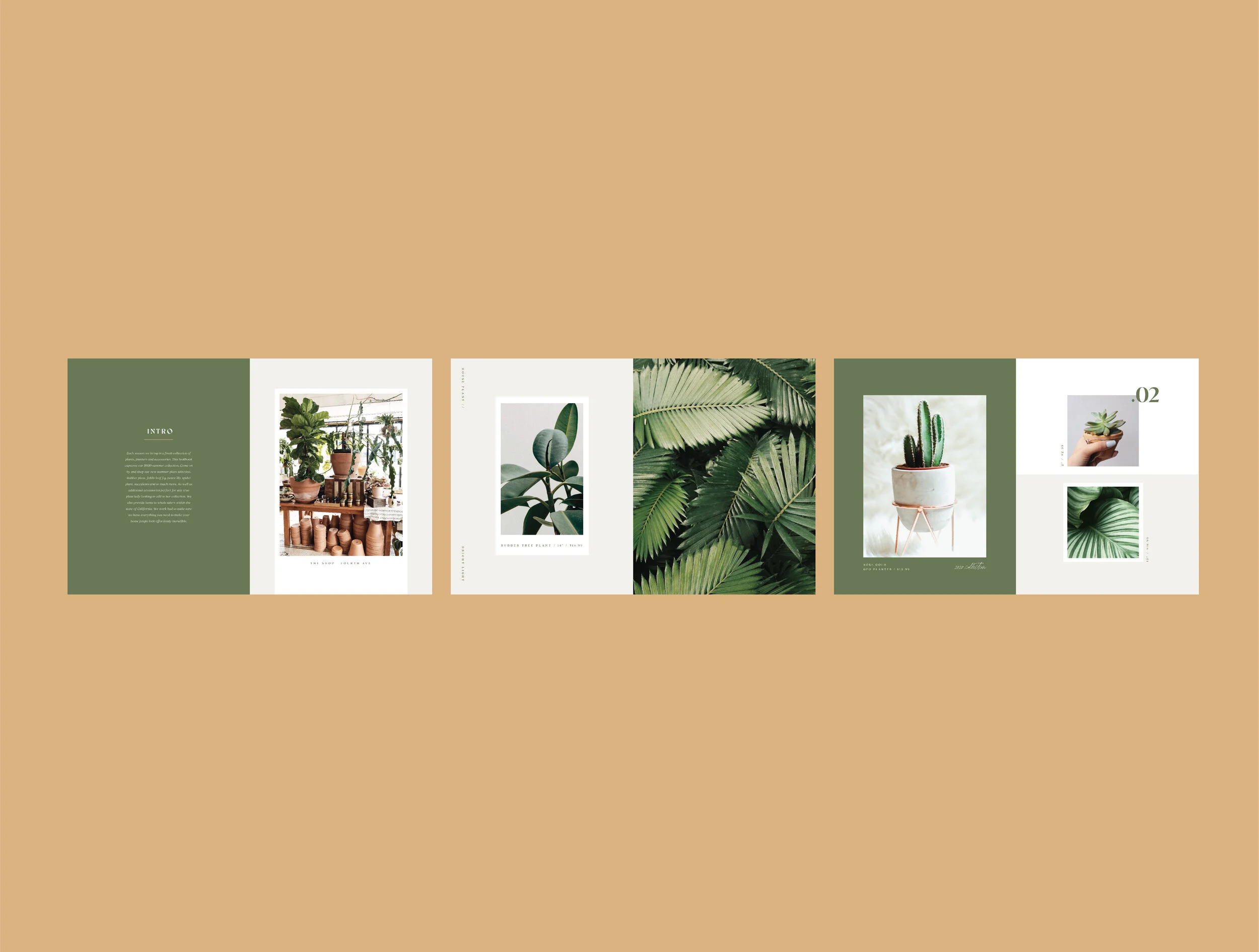 HaleyFischer_Botanica-19.jpg