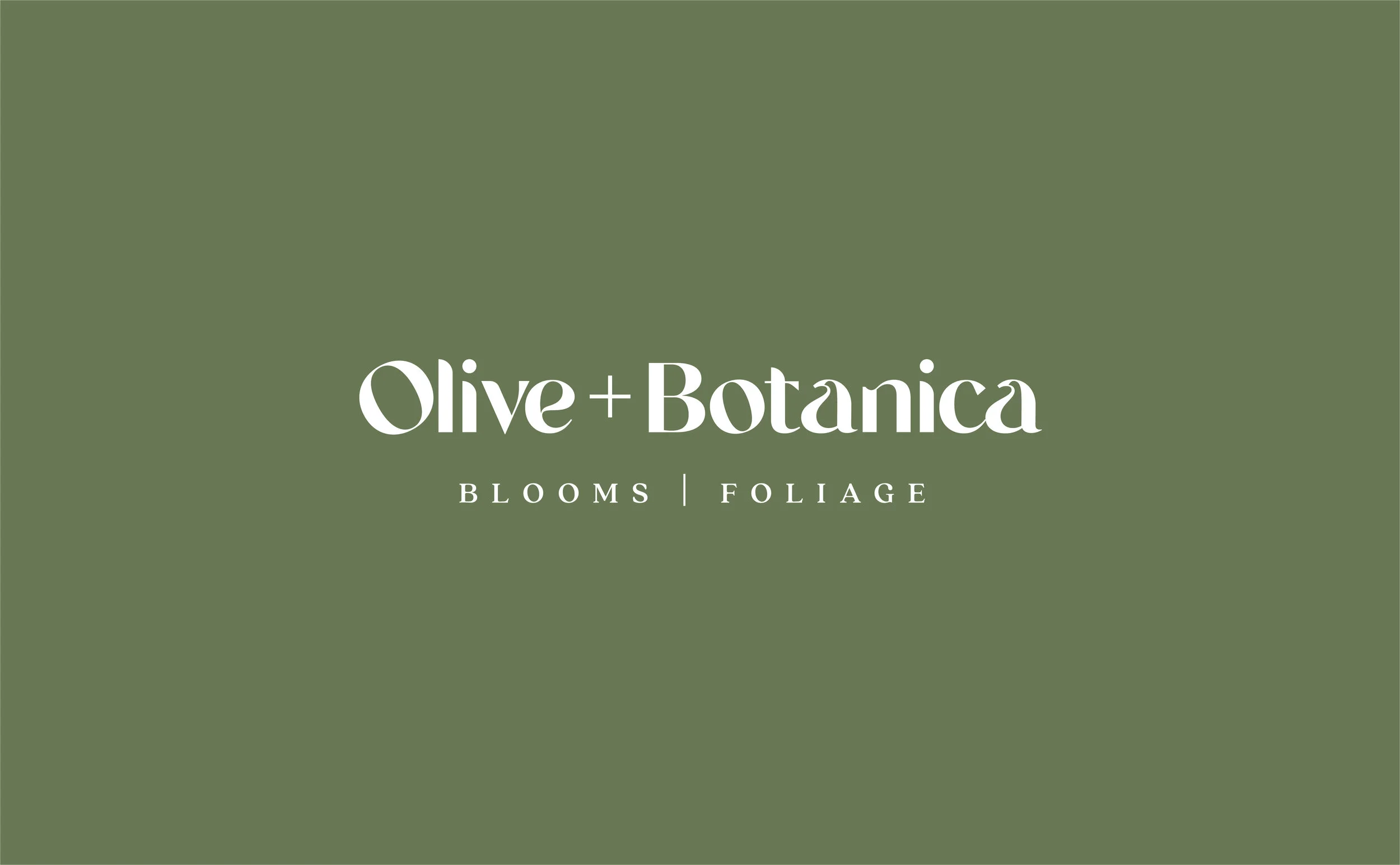 HaleyFischer_Botanica-18.jpg