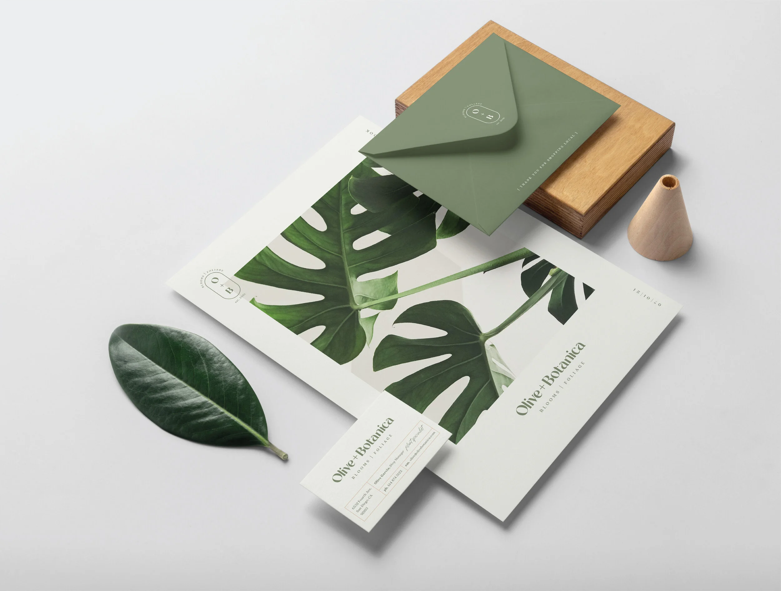 HaleyFischer_Botanica-16.jpg