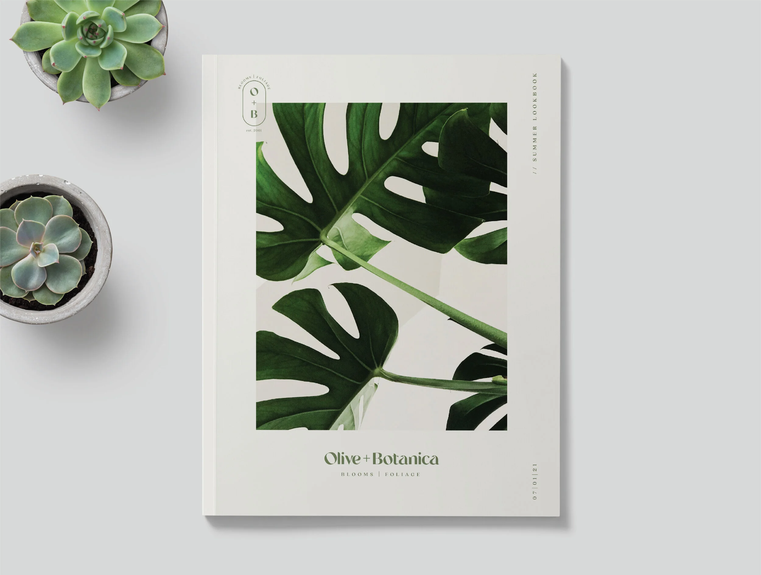 HaleyFischer_Botanica-14.jpg