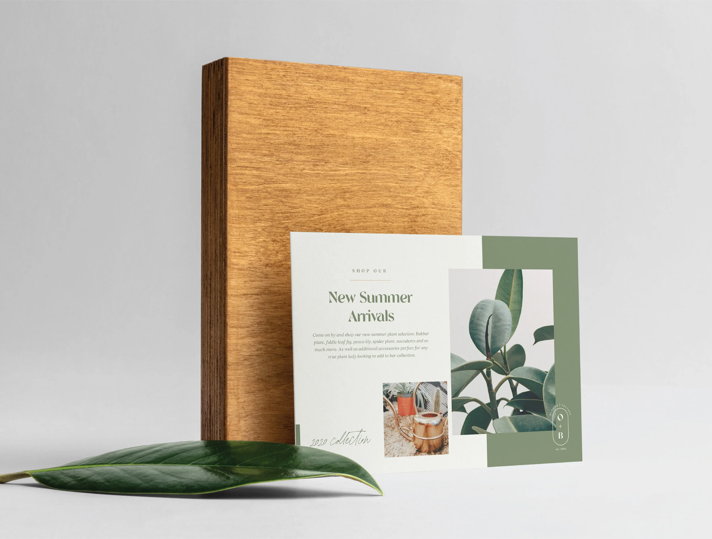 HaleyFischer_Botanica-13.jpg