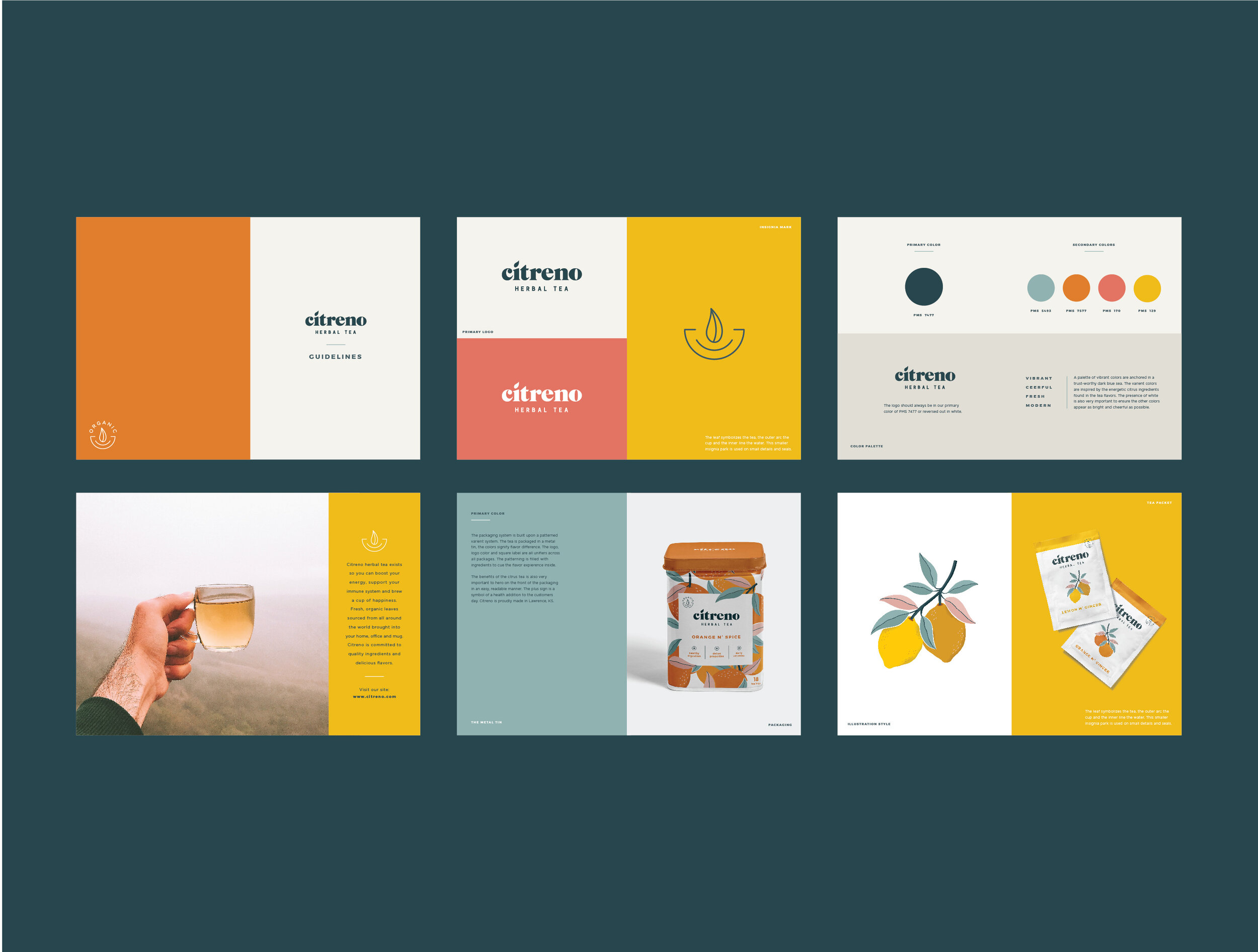 Tea_Branding_HaleyFischer-04.jpg