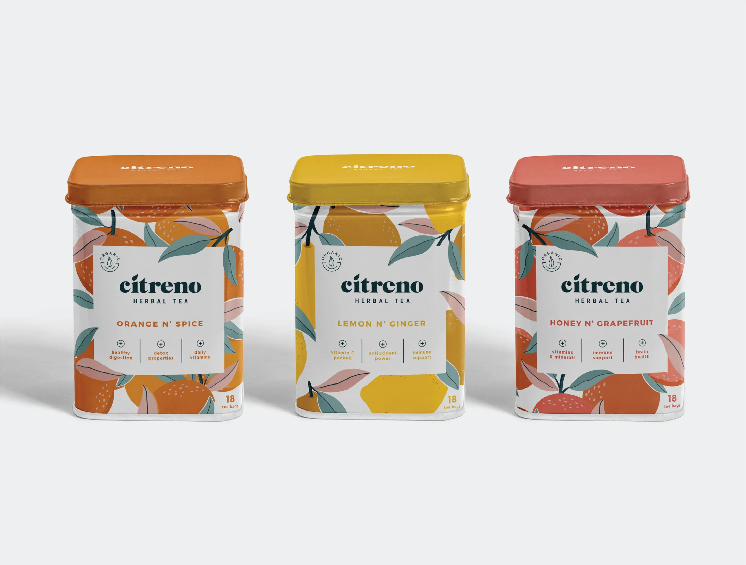 Tea_Branding_HaleyFischer-05.jpg