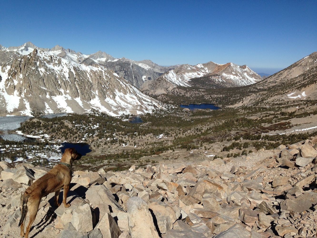 I know they are out there: Indy looking for PCT and JMT hikers from Kearsarge Pass