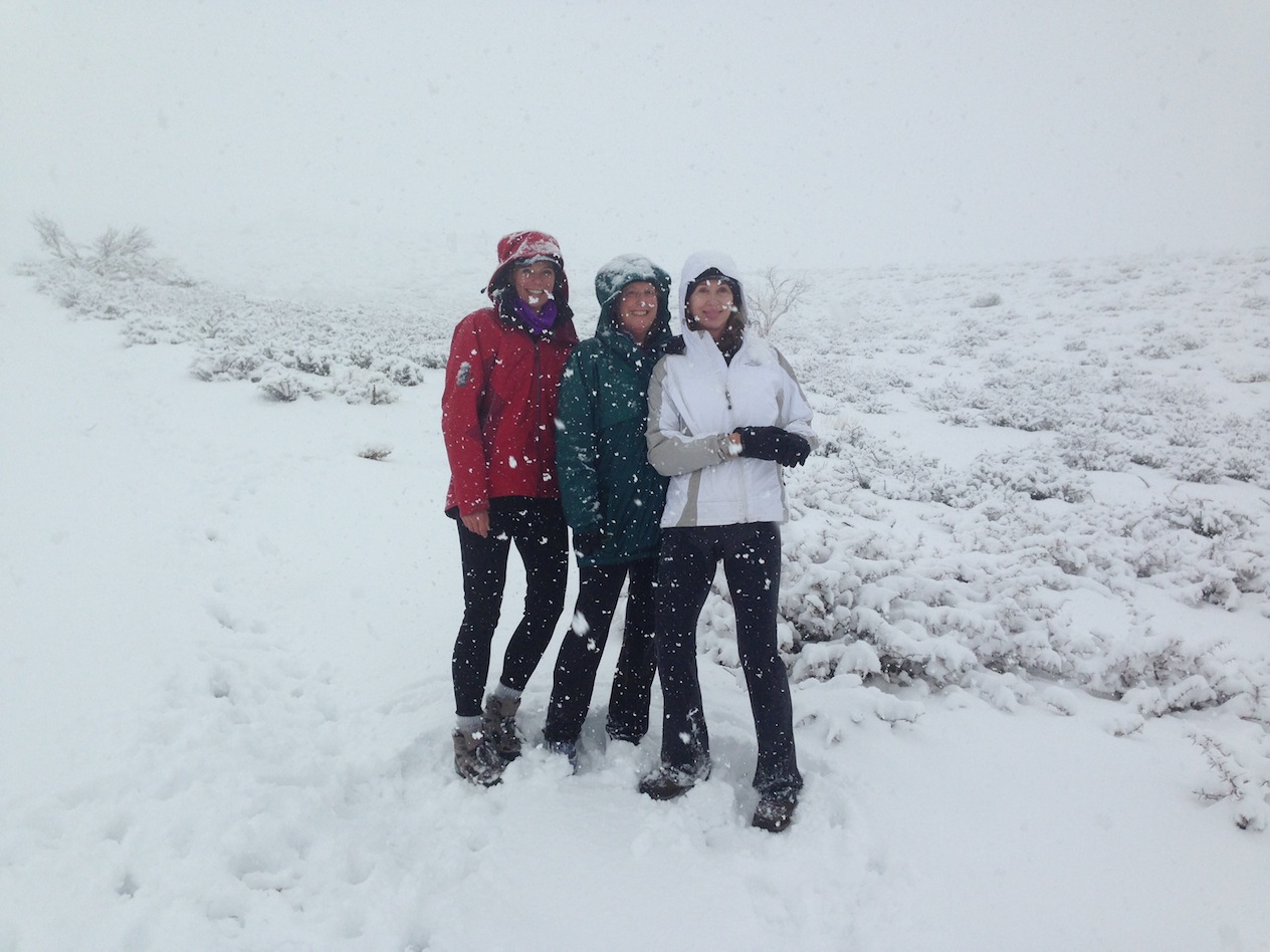Strider, Martha, Patty hiking in snowstorm in February 2014 near Onion Valley Road
