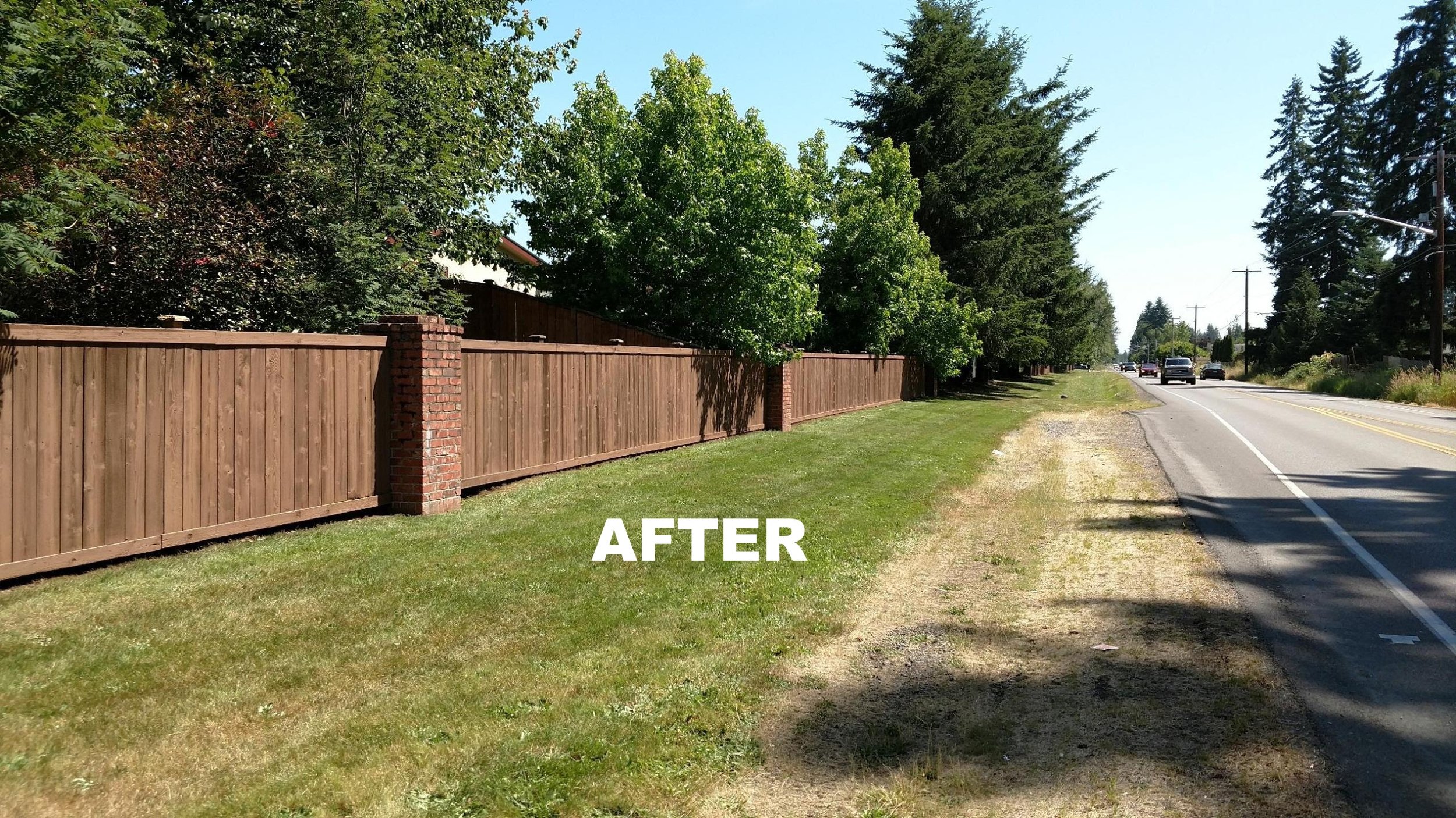 Fence after (1).jpg