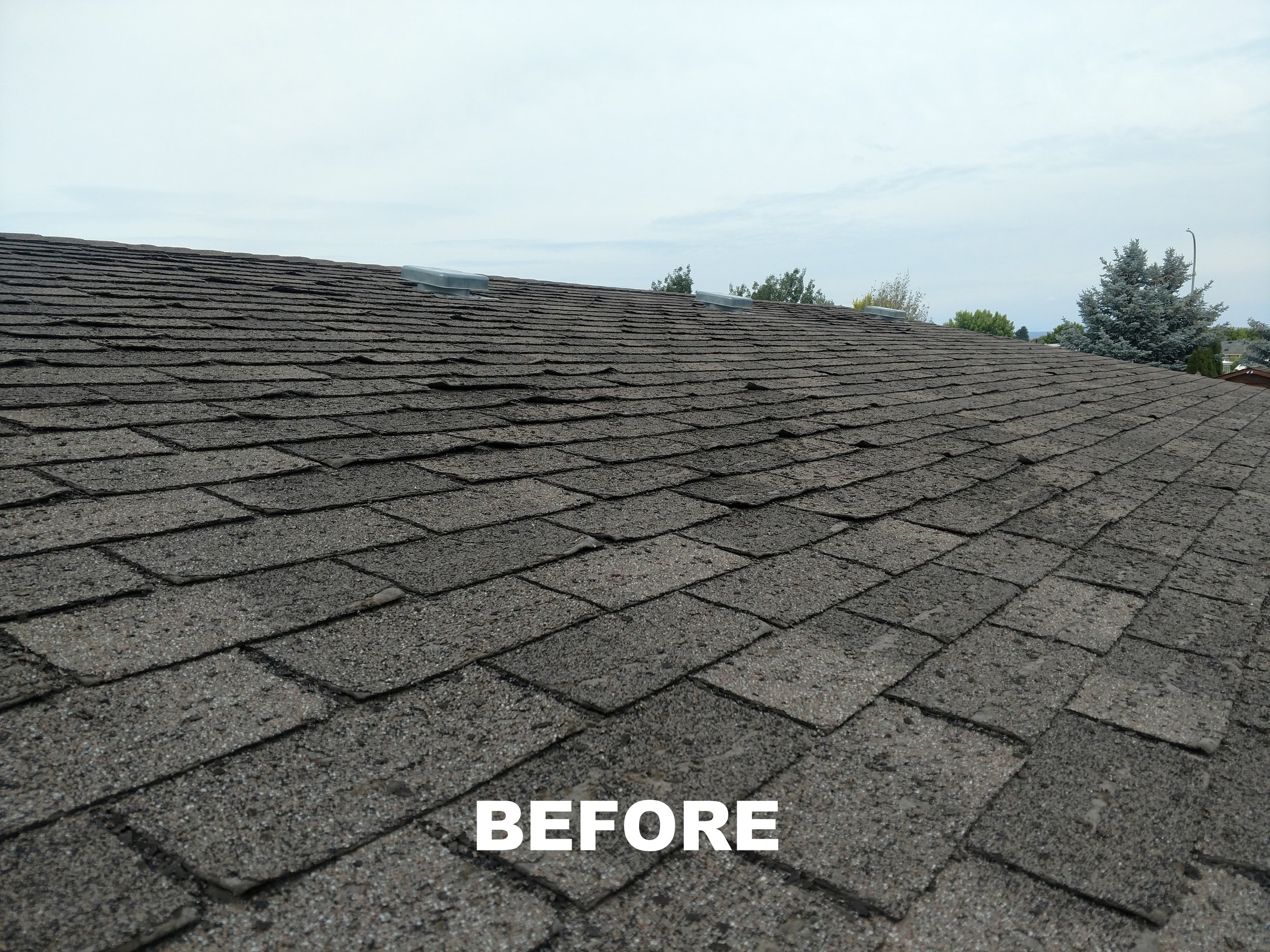 Roof before.jpg