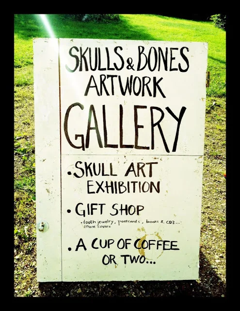 Välkommen till vårt skallkonstgalleri i Jättendal.