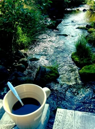 Morgonkaffe vid bäcken