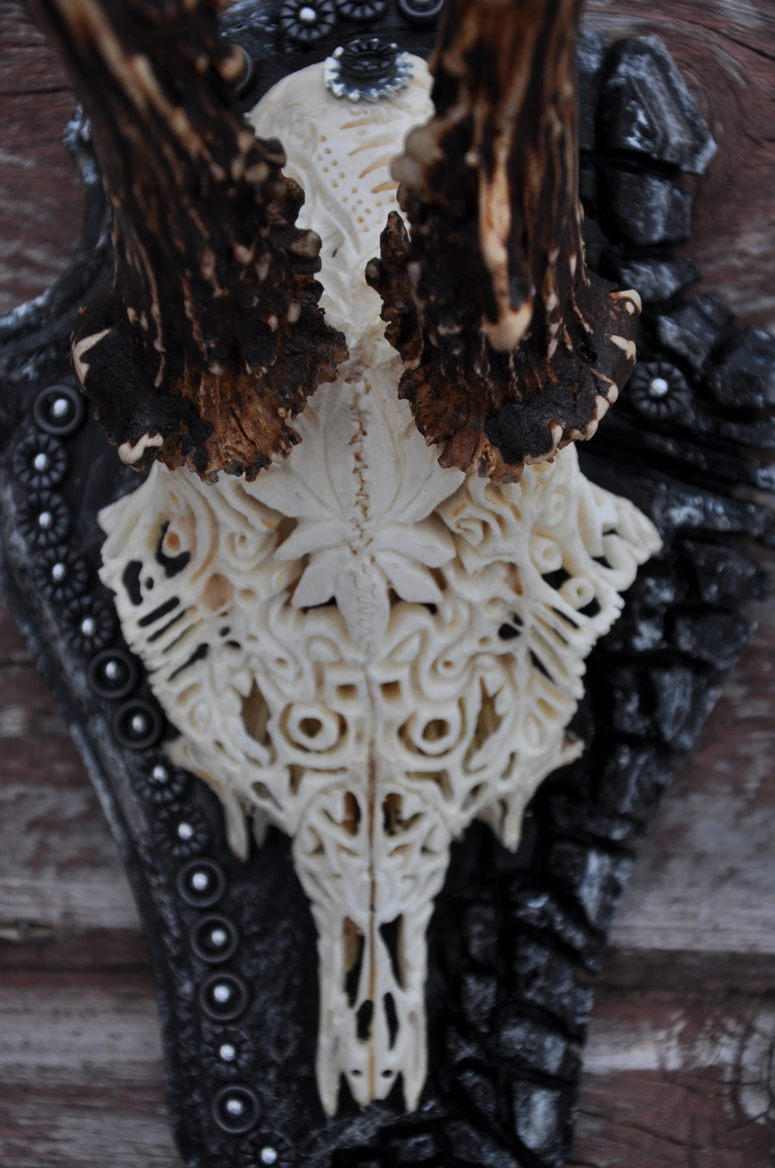 petra-shara-stoor-skull-art-x-1.JPG