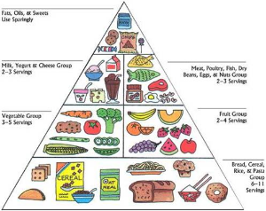 This was the USDA food pyramid taught in schools for many years and it has now been proven to be WRONG! 