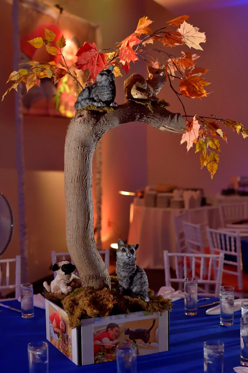 Cats are the mitzvah boy's favorite animals, so we created a playful "cats in a tree" centerpiece