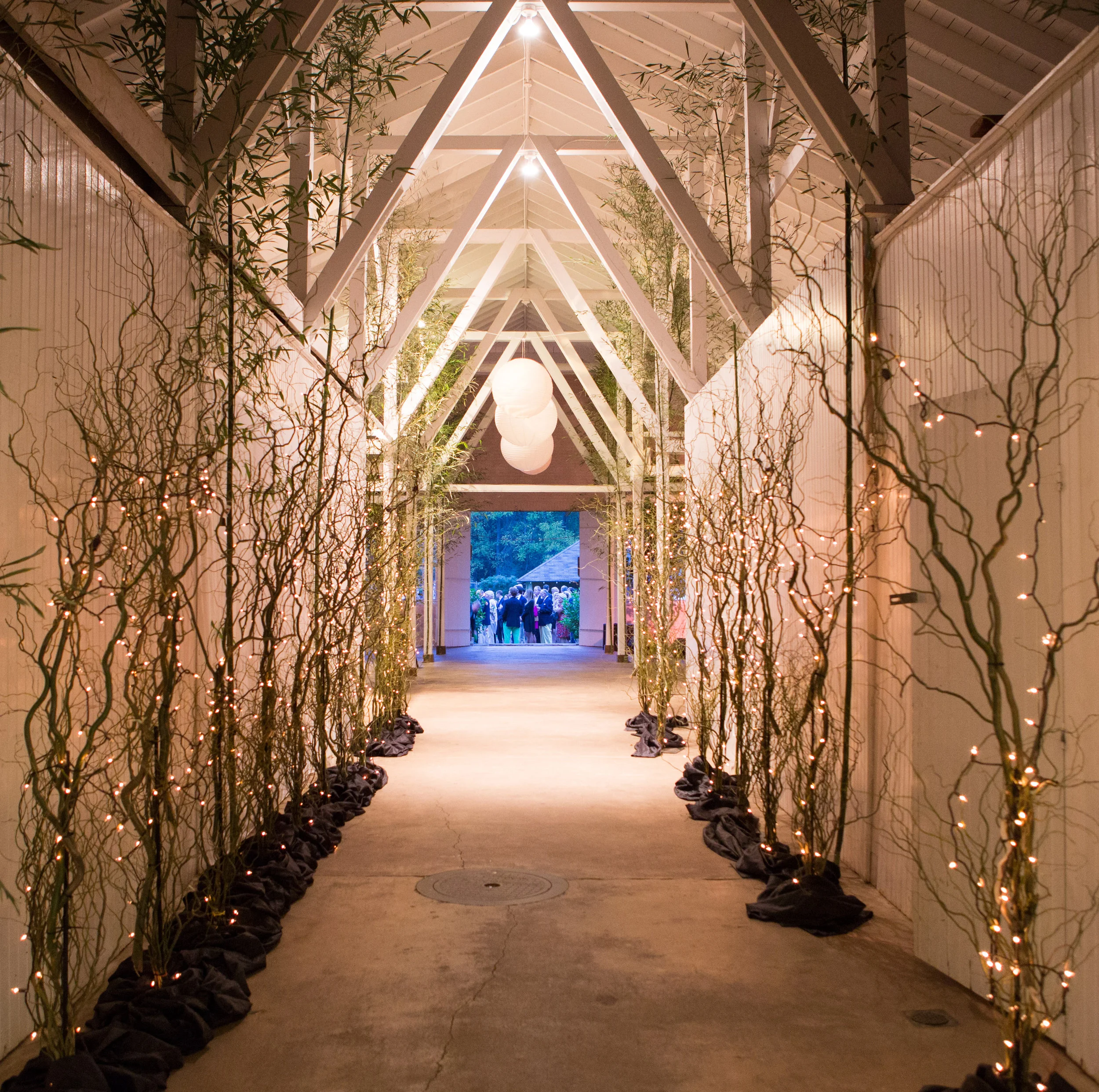 Our branches transformed a non-descript hallway into an intimate path.