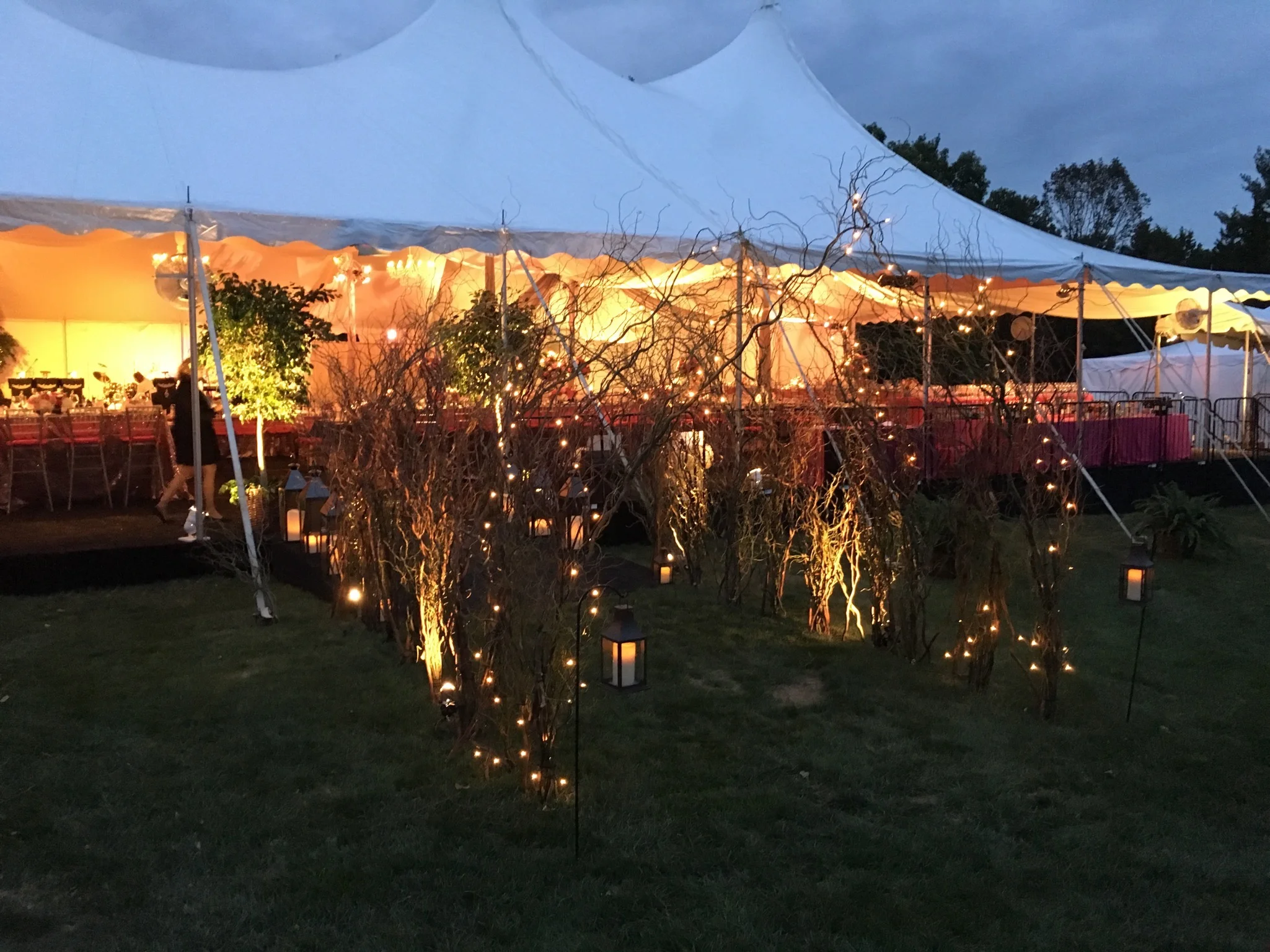 A branch tunnel helps light the way to an outdoor fall wedding,