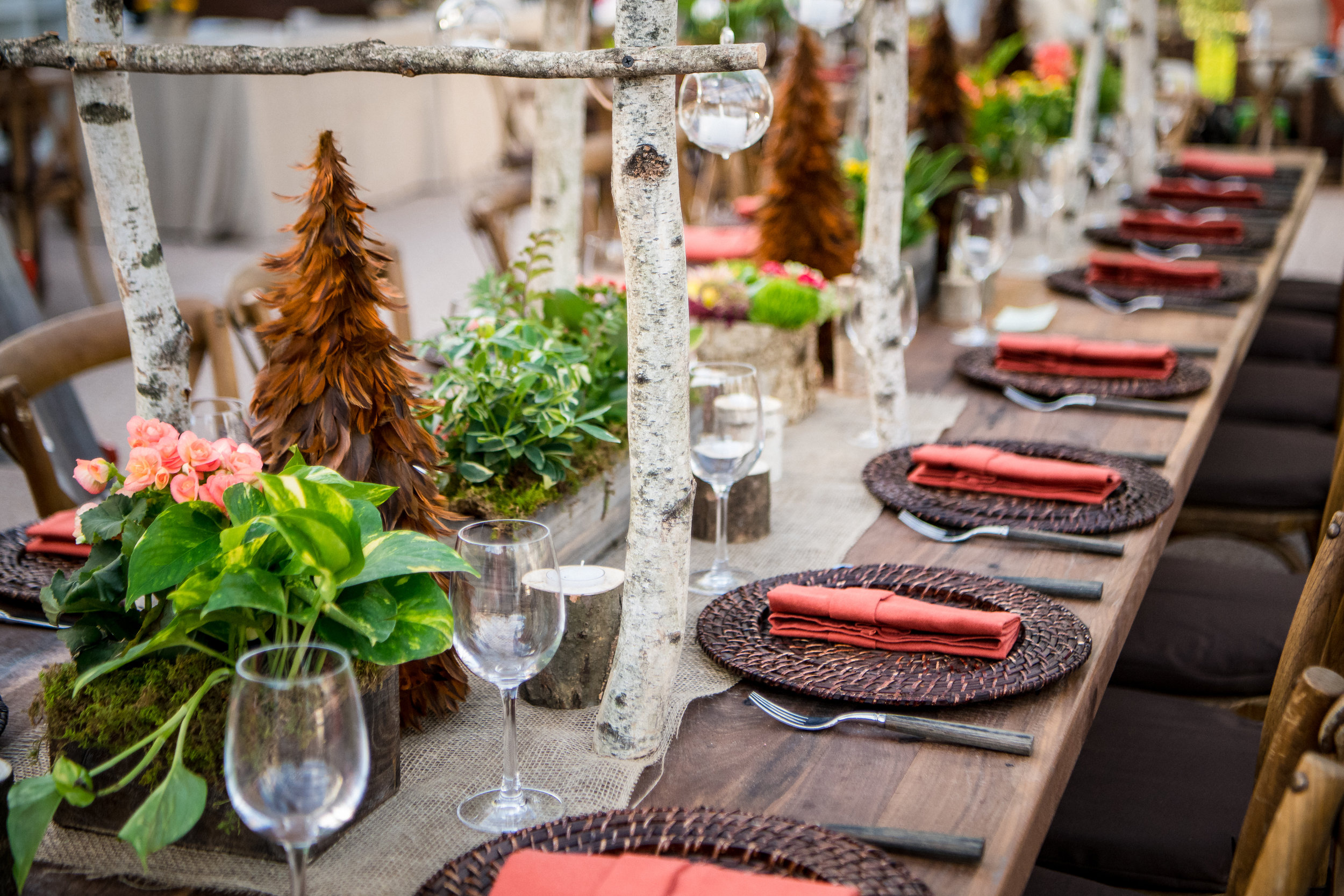 Rustic Camp Themed Bar Mitzvah Princeton, NJ — Event Decor NJ