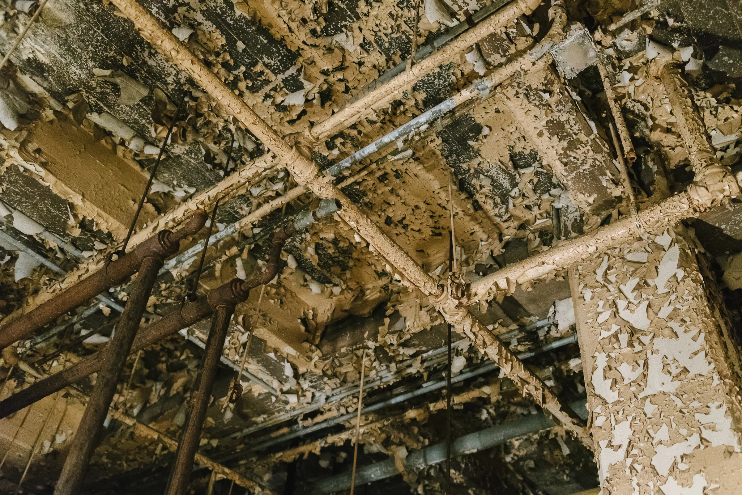 Lead paint peeling off the ceiling in the basement boiler room.