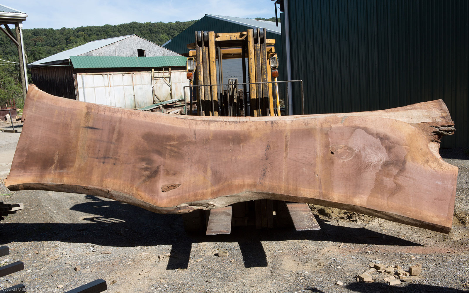 Live_Edge_Dining_Table_Black_Eastern_Walnut_Sentient_Furniture_New_York_7.jpg