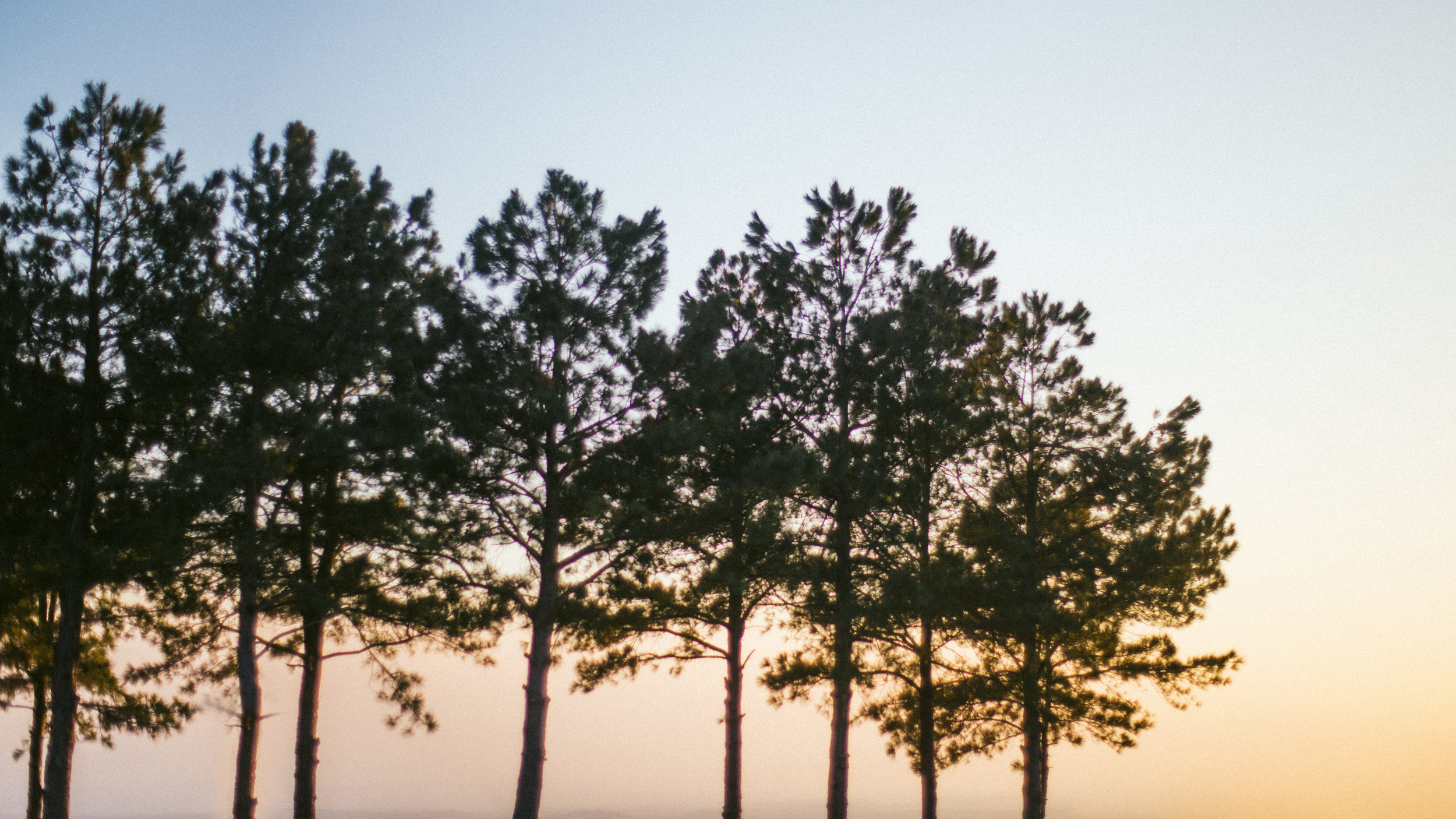Waldron Arkansas Wedding Photographer