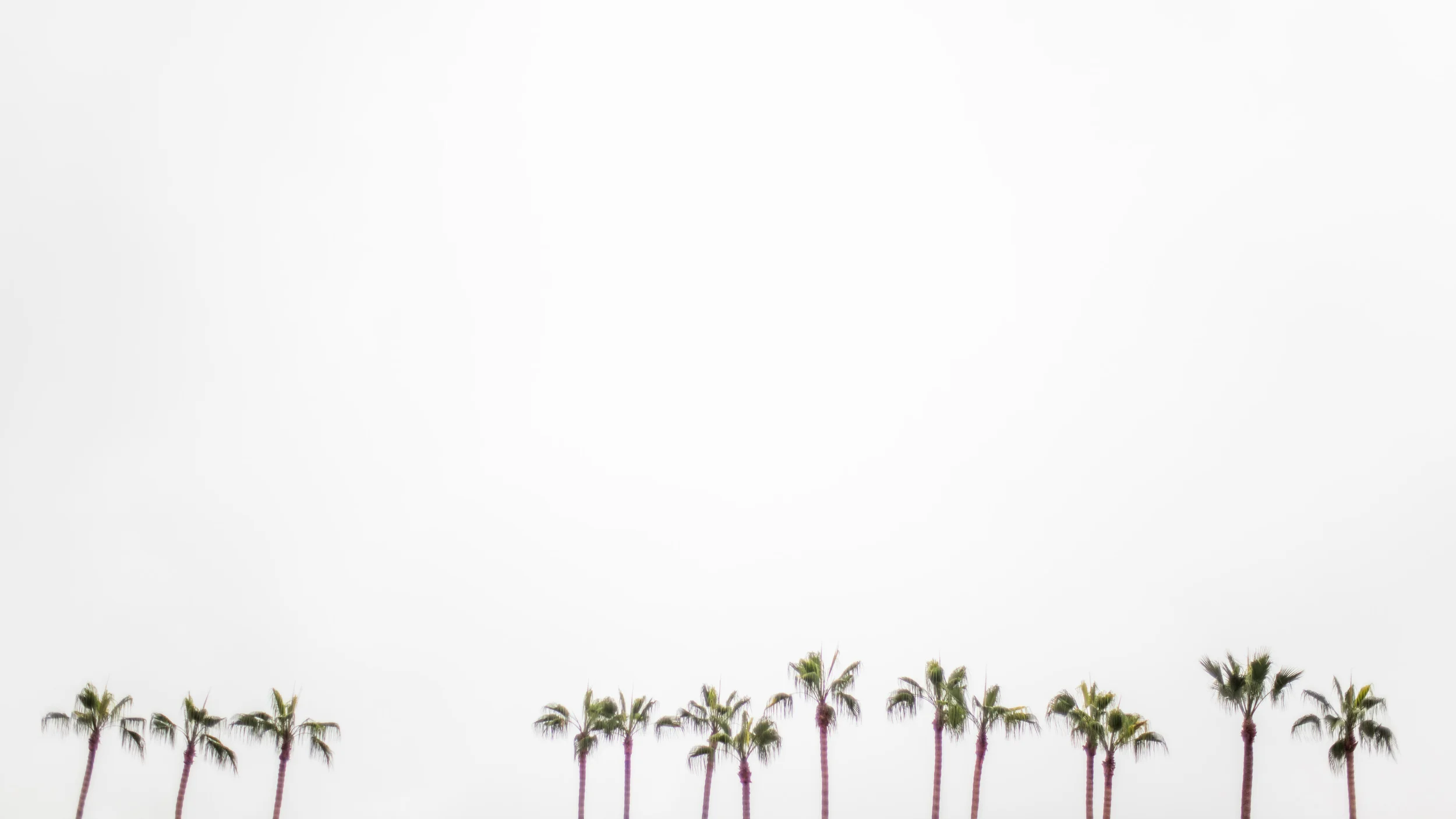 San Diego Landscape & Portrait Photographer