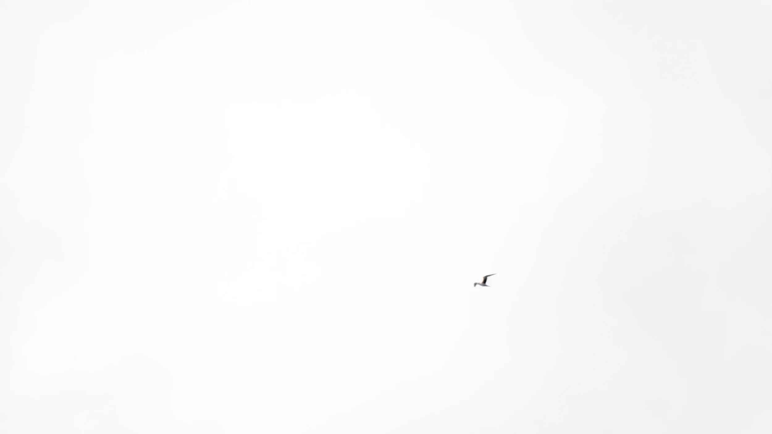 San Diego Landscape & Portrait Photographer