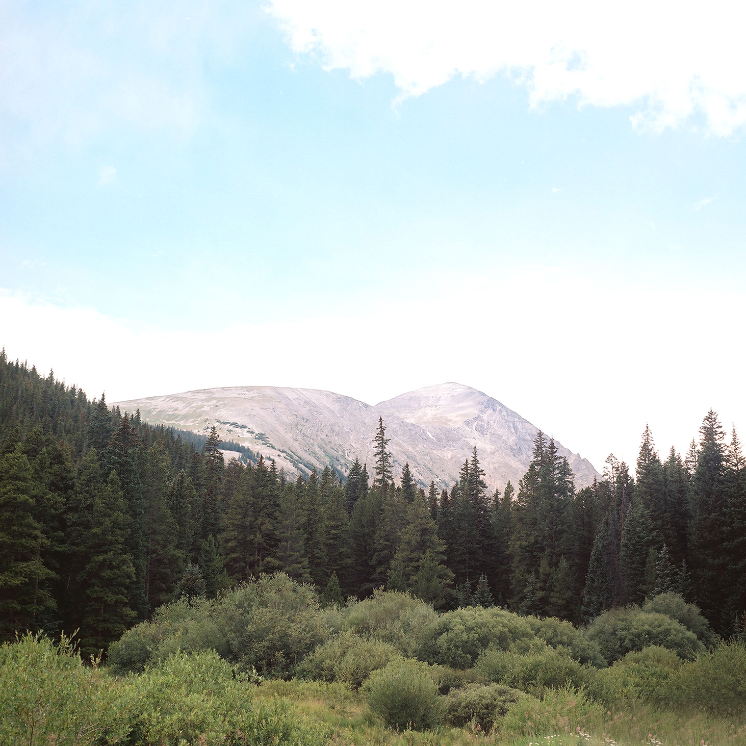 Breckenridge Colorado Wedding Photographer