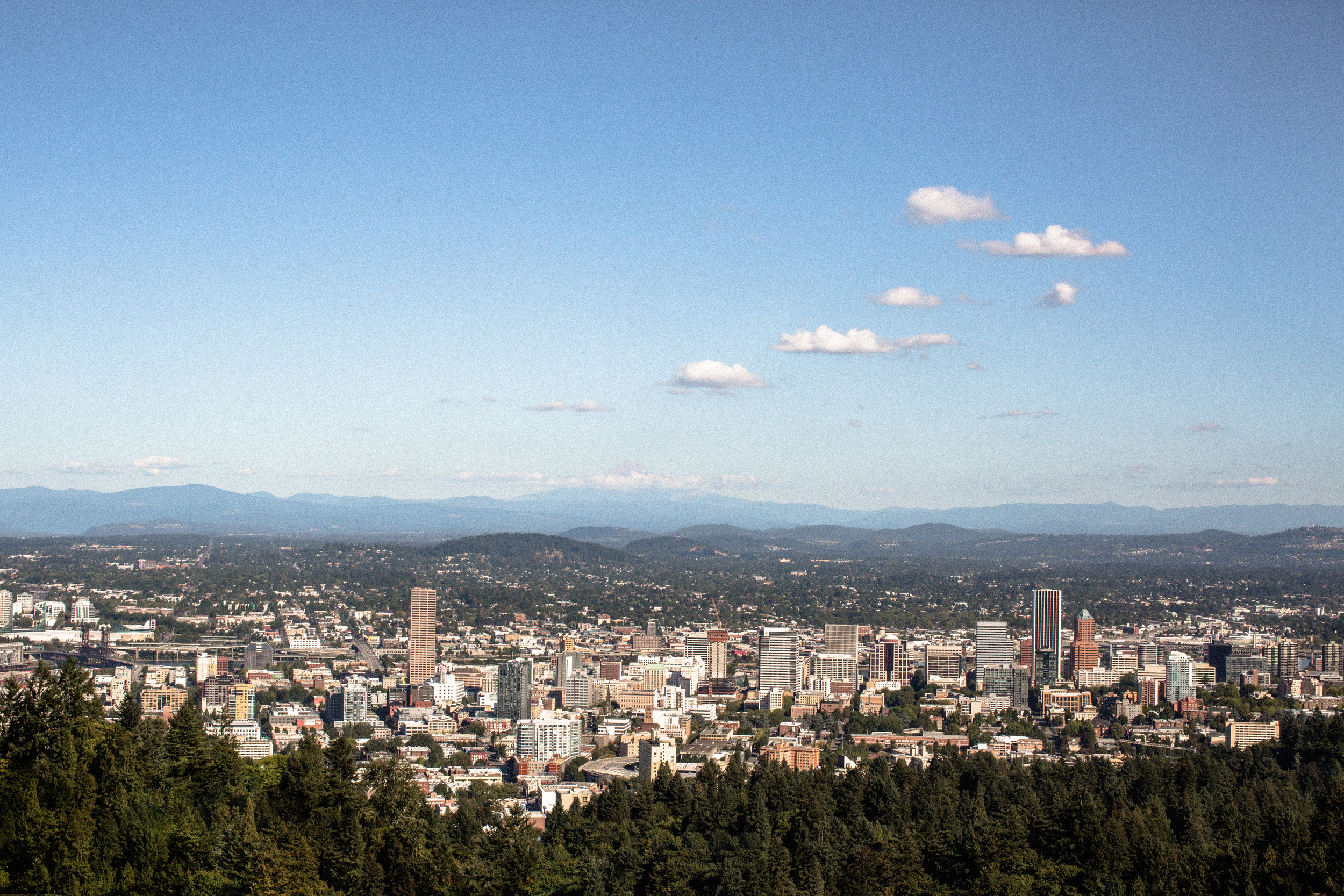 Portland, Oregon Engagement & Wedding Photographer