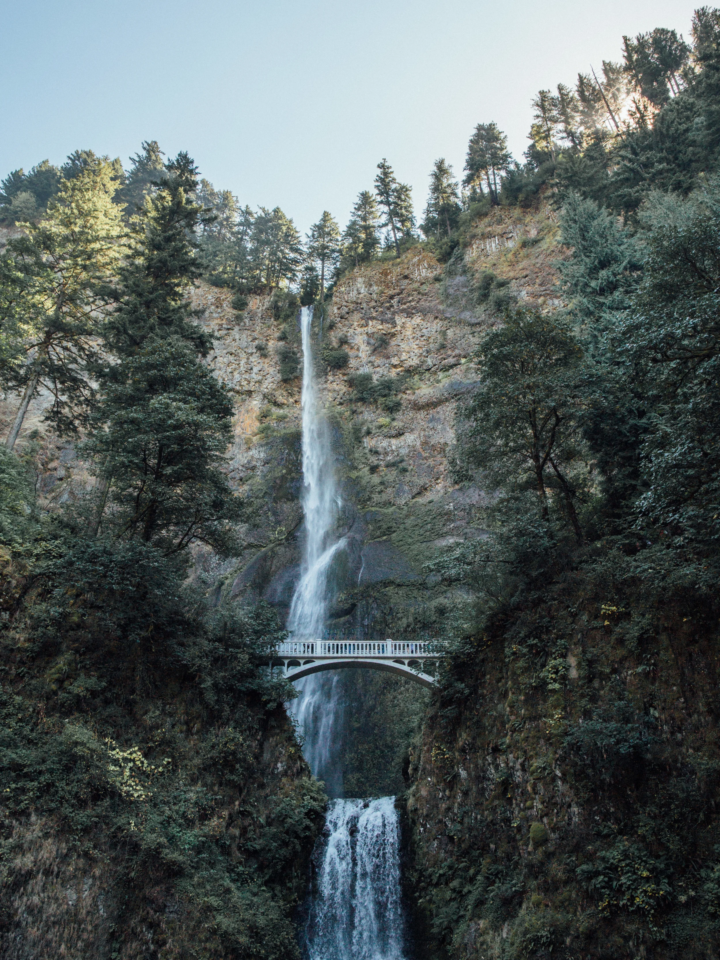 The Pacific Northwest