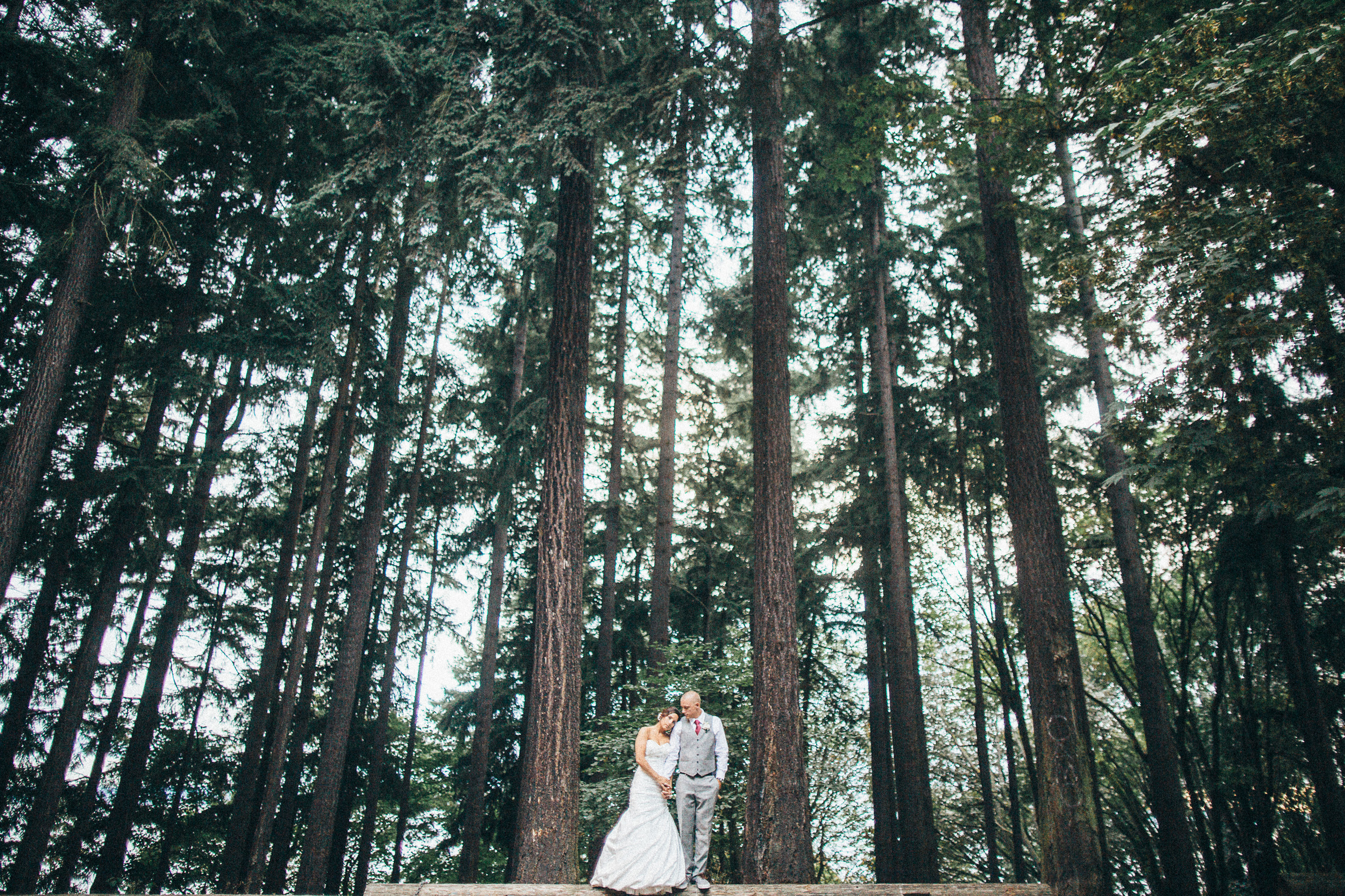 Seattle Washington Engagement & Wedding Photographer