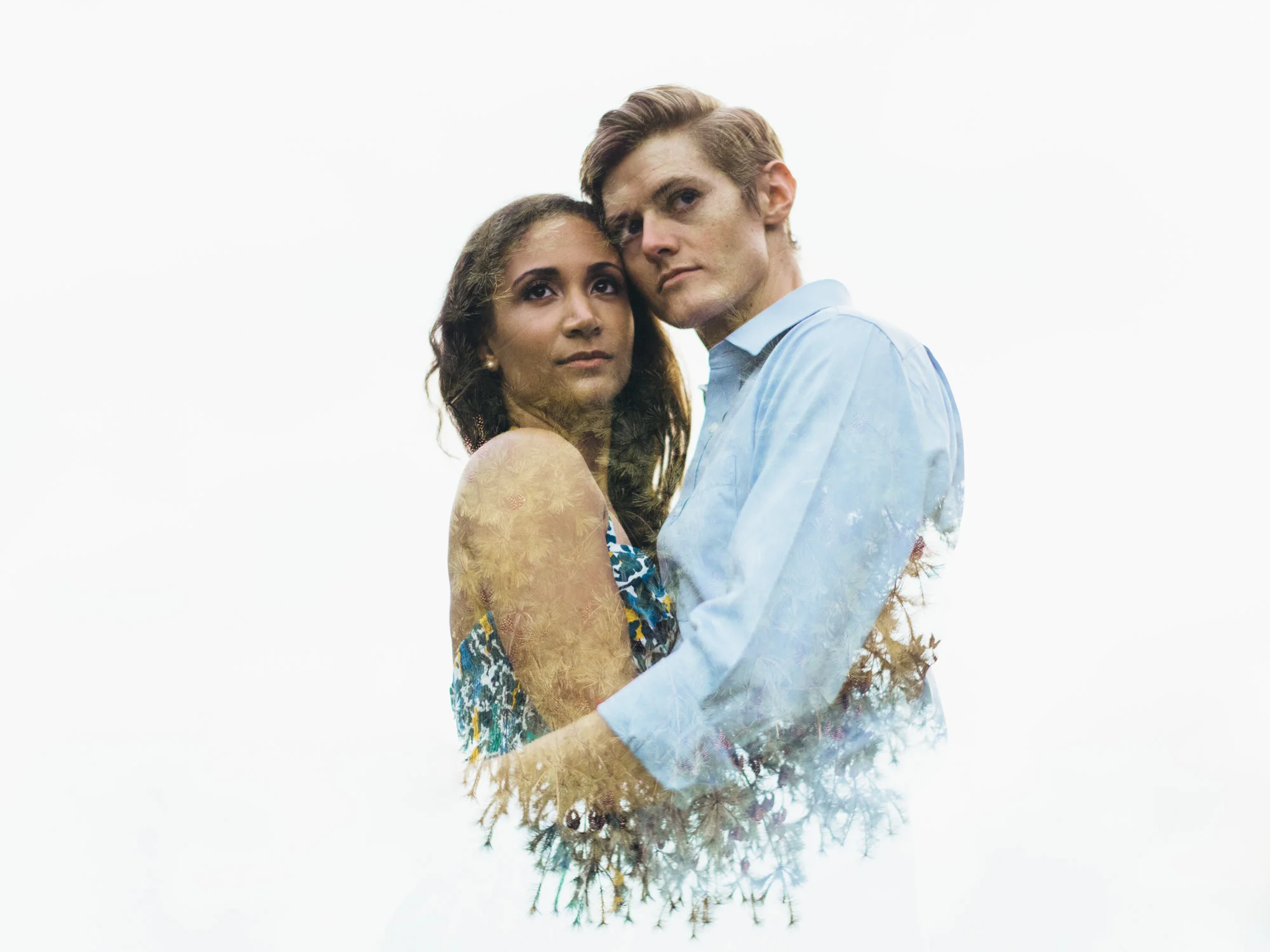 Autumn, 2015 — A Summary