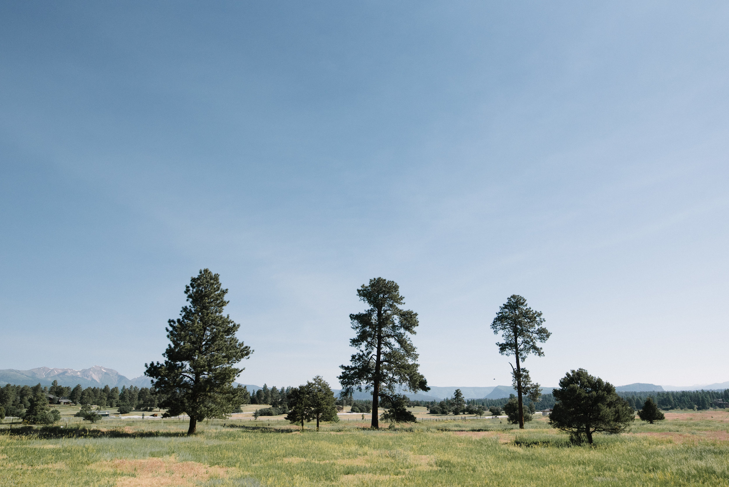 Ridgewood Events Durango Colorado Wedding Ceremony Reception