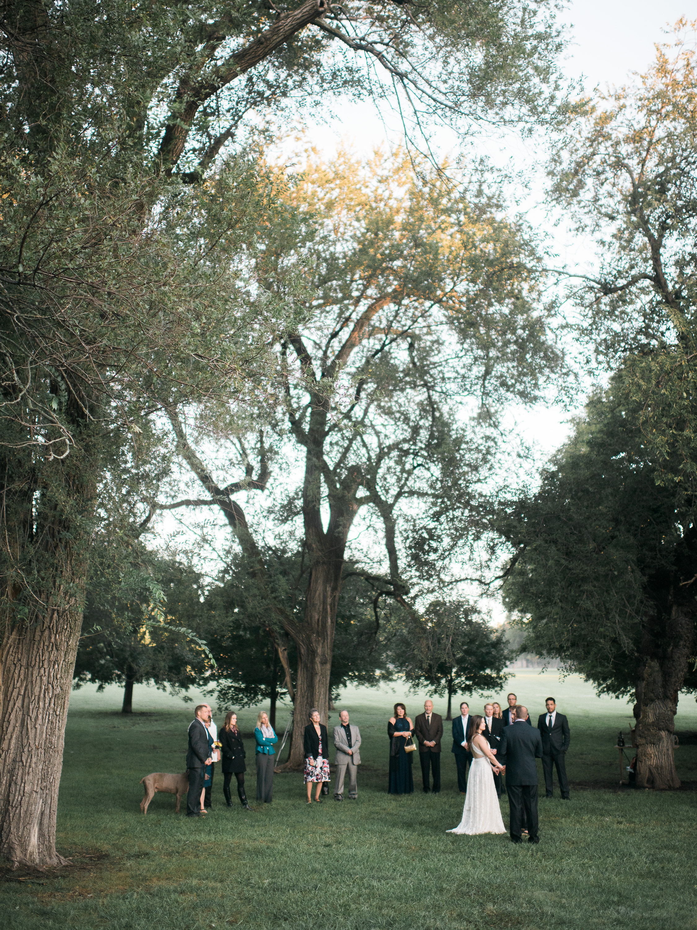 Loose Park Wedding Ceremony Elopement Photographer