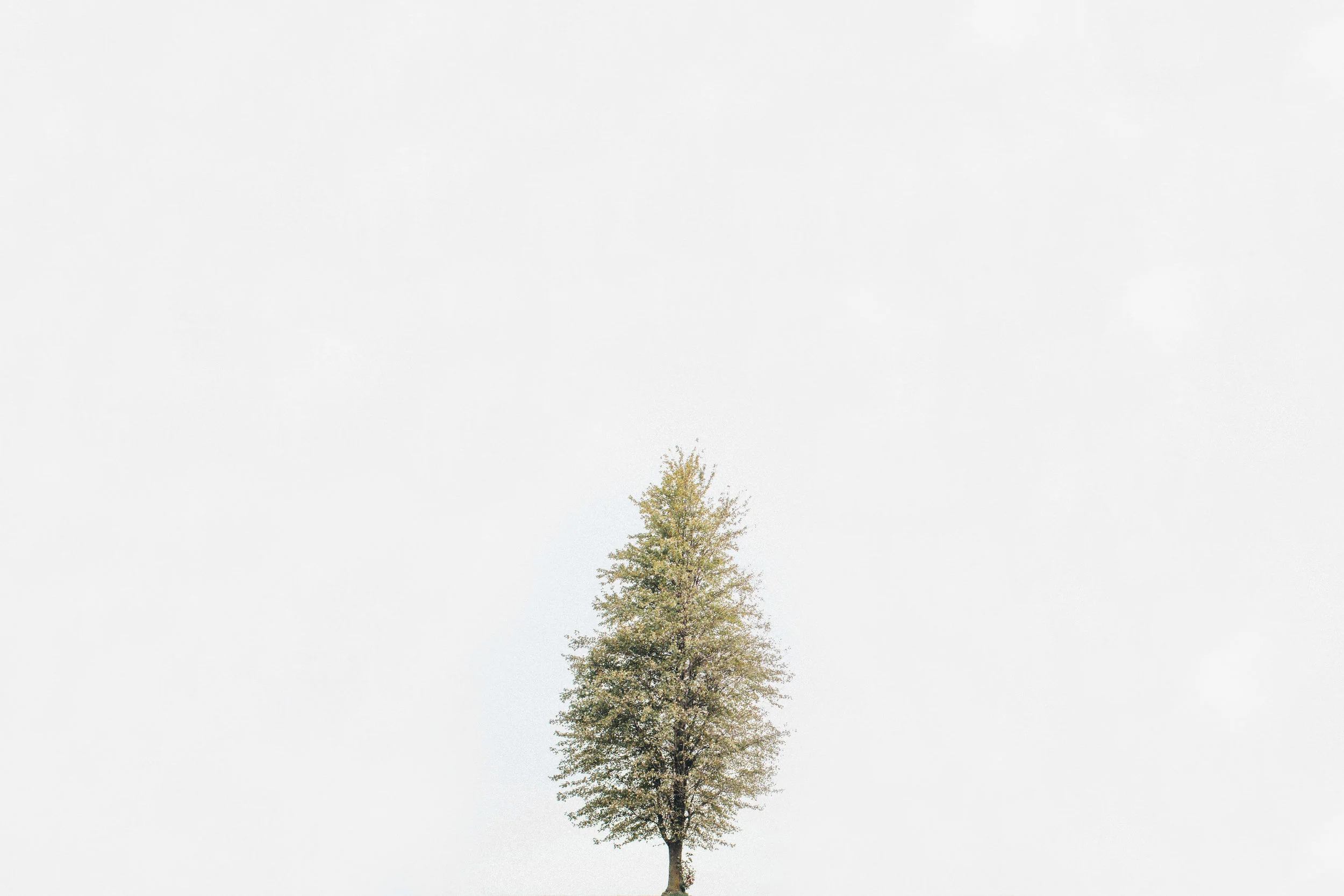 05-LONE.jpg