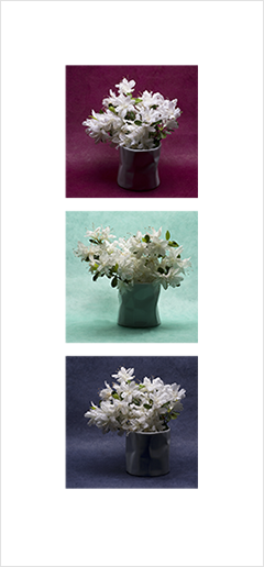 Local Color 10 (Azaleas)