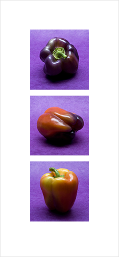 Local Color 9 (Peppers)