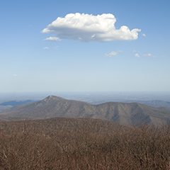 Mountain Pose 5 (Virginia)