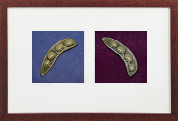 Local Color Prints 1–8