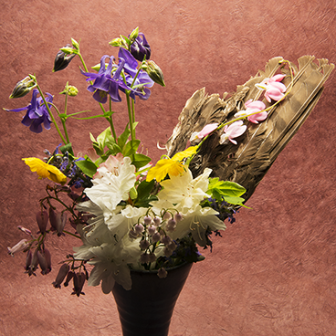 Hawk bouquet 1_©acfallen.png