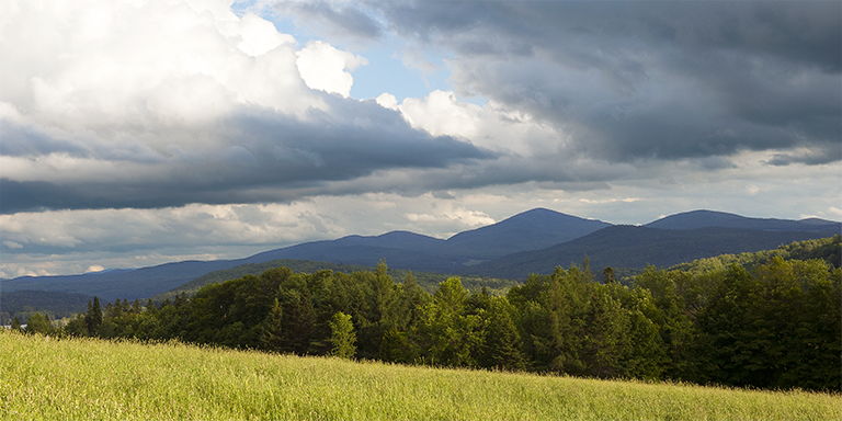 Long View 3_Vermont summer.png