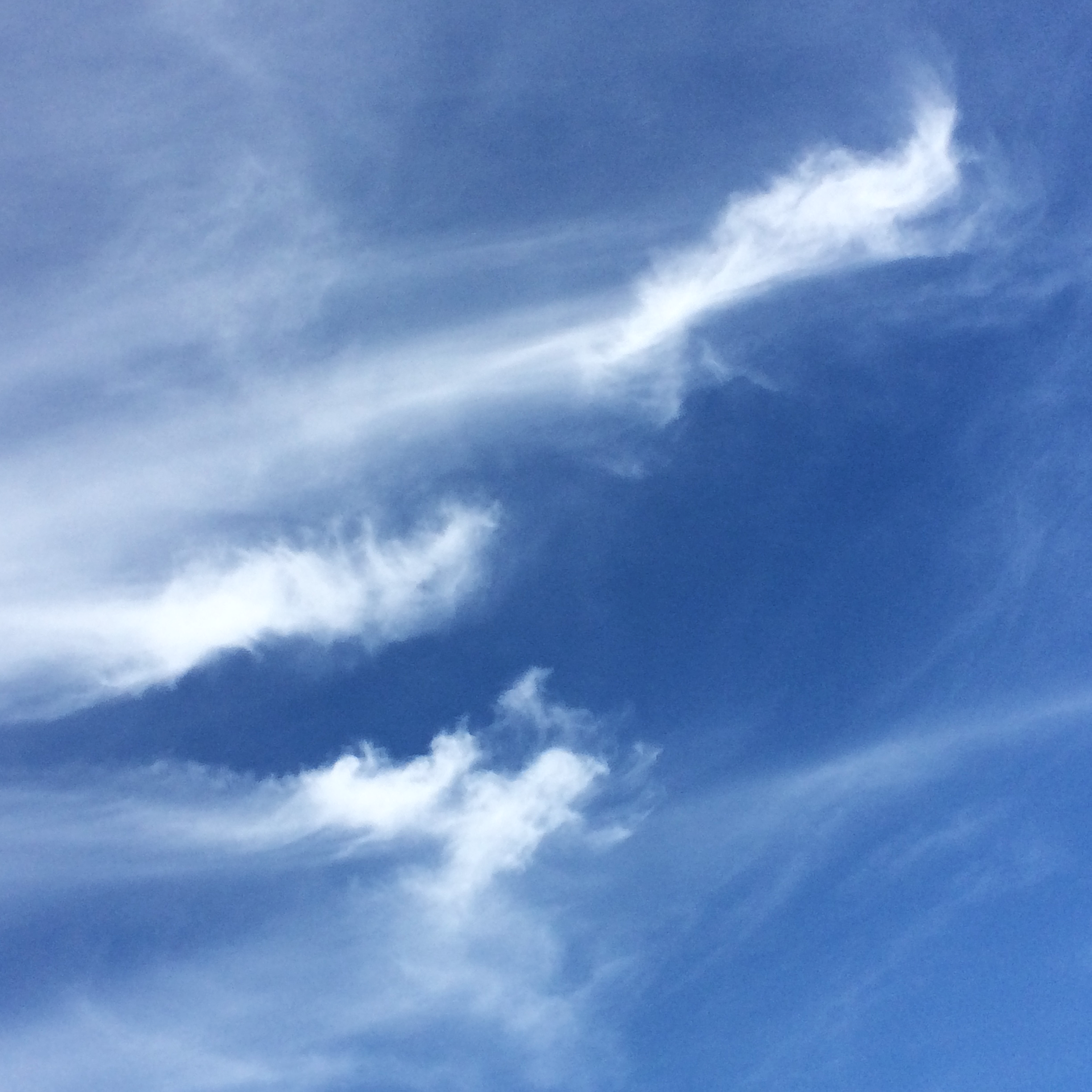 Cloudy_©acfallen.png
