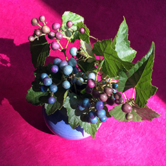 Small 2 (Porcelain Berry)