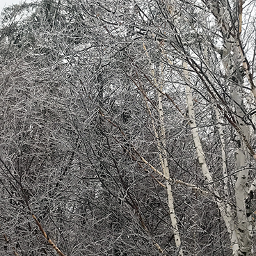 ice storm_©acfallen.png